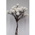 22091 - Snow white berries Christmas Deco Pick.  Measures - 11cm Height x 8cm Width.