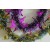88140 - Triple Coloured Christmas Tree Tinsel x 2 Metre Lengths!