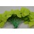 X336 - 30mm Coloured Decorative Cord Butterflies!-Green