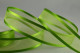 65 Green